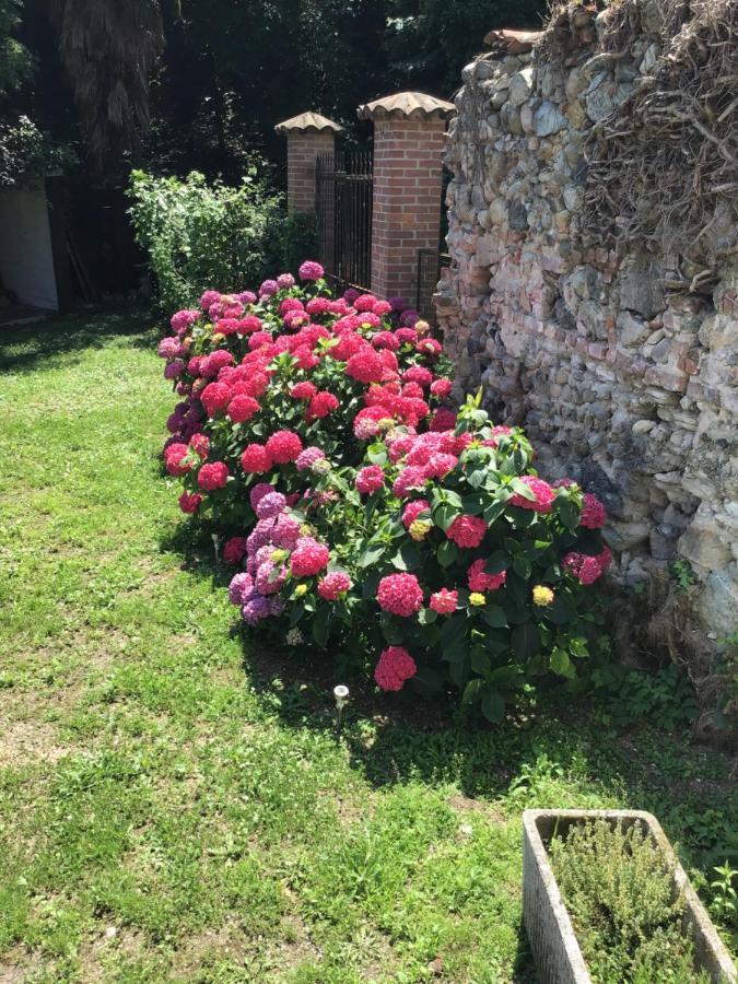 Casale A La Campagne Leilighet San Mauro Torinese Eksteriør bilde